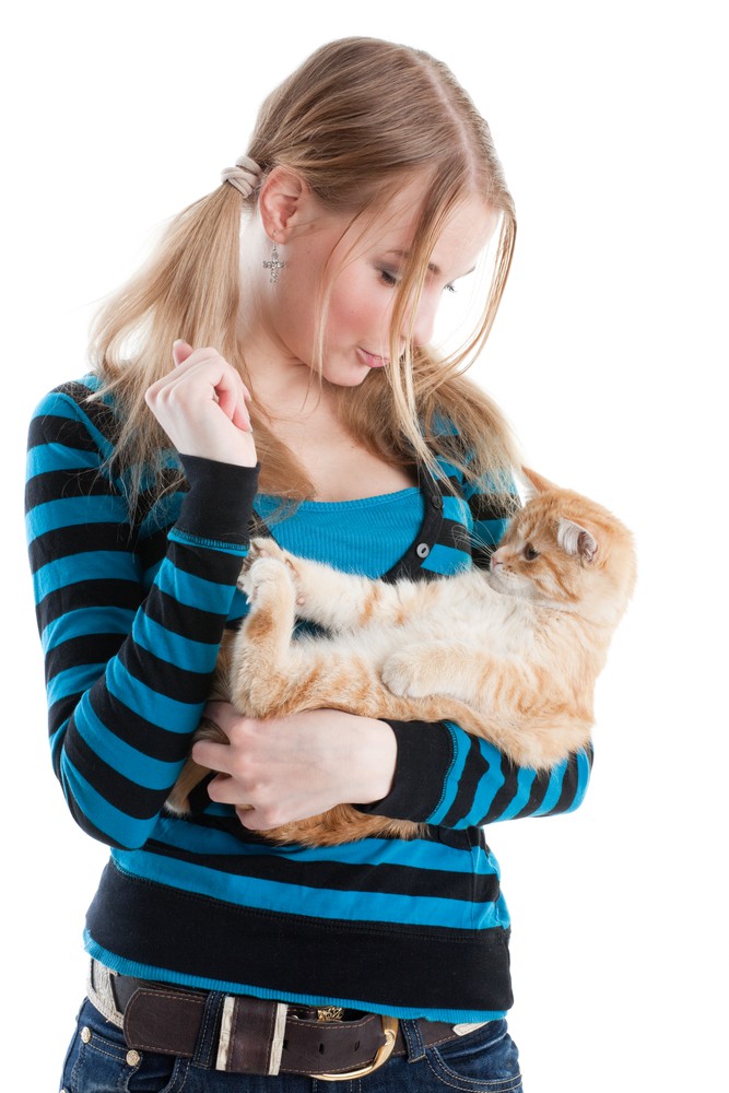 Overvejelser inden anskaffelsen af kat