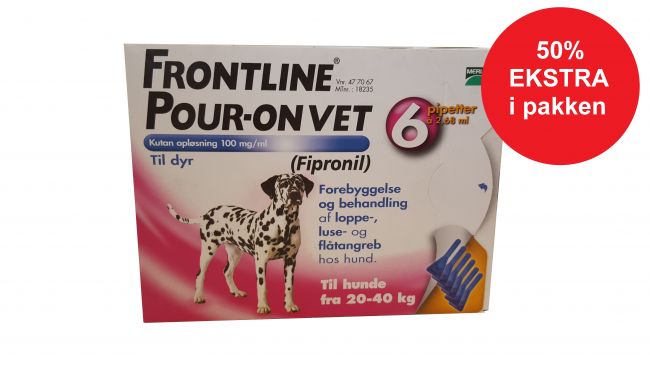 bifald Pointer kartoffel Frontline til hund 20-40 kg - behandler oppe-, luse- og flåtangreb