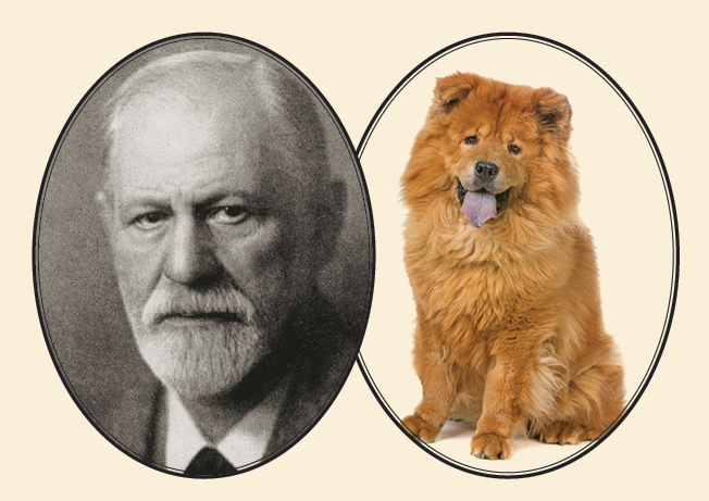 De berømte hunde deres utrolige historier: Freuds chowchow | OLIVERS artikelserie