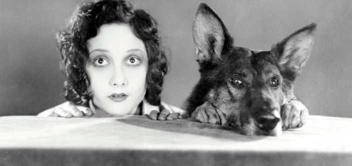 Optimal fire Nemlig Rin Tin Tin | Læs utrolige historier om berømte hunde